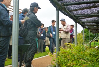 2017植物観察-2