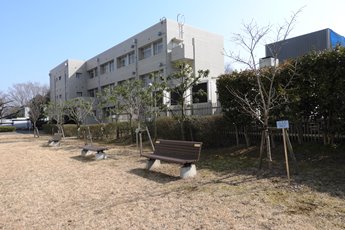 地域連携協定八重桜1