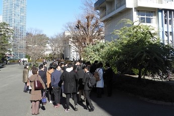 大連理工大学ギンヨウアカシア