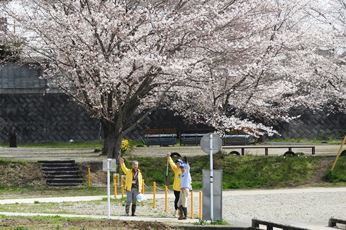 20180327川ガール看板立て-8