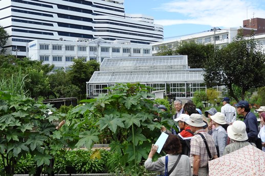 20180922健康市民大学植物観察