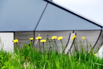 坂戸キャンパスは植物園