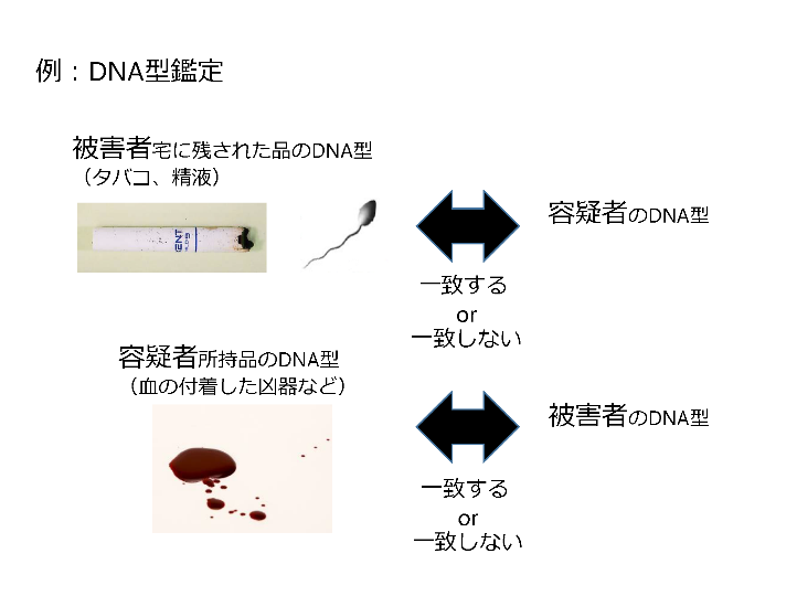 薬剤師のしごとVol. 3 科捜研でのしごと＿図２