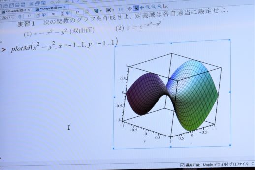 20201015数式処理による解析