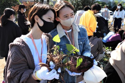 20201104芋掘り植物園