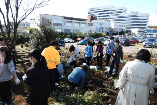 20201104芋掘り植物園