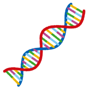 20201127薬学科DNA