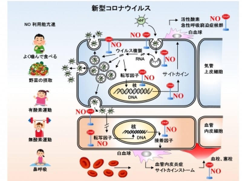 20210828　コロナ感染症予防にNO-２