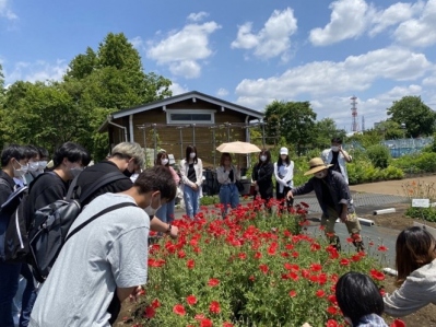 YK植えてよいケシの見学